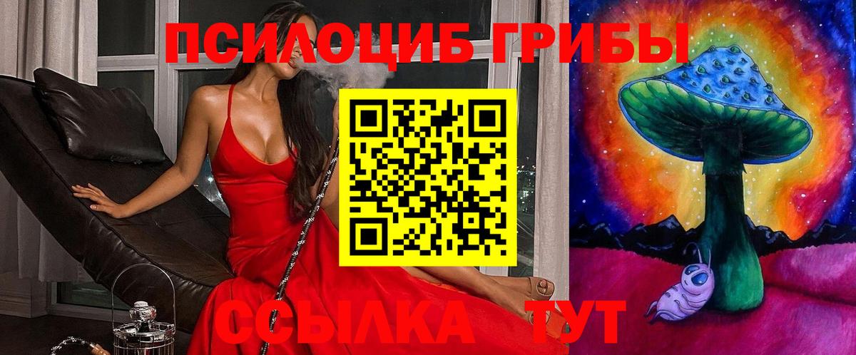 Всеволожск  Псилоцибиновые грибы MAGIC MUSHROOMS  Вход с VPN 