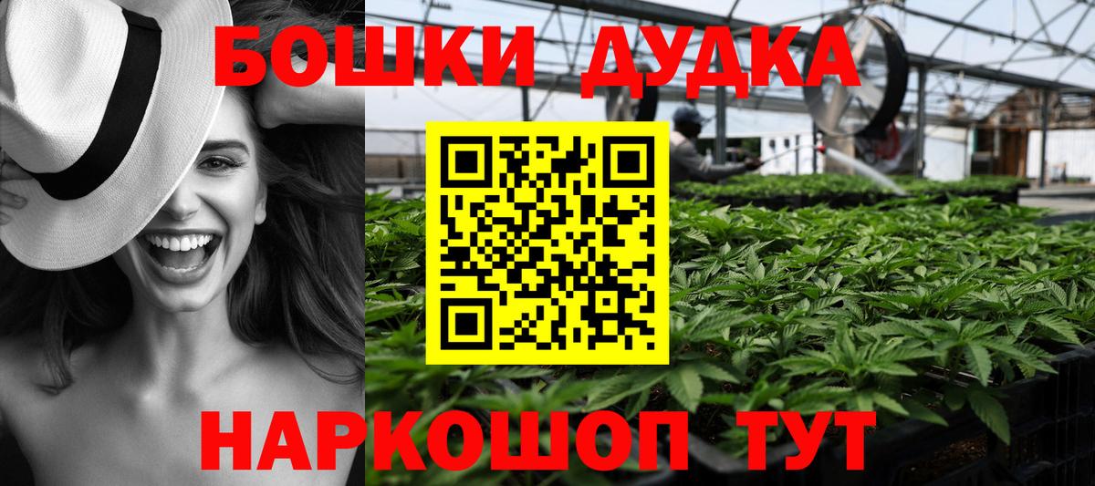 Каннабис план Всеволожск